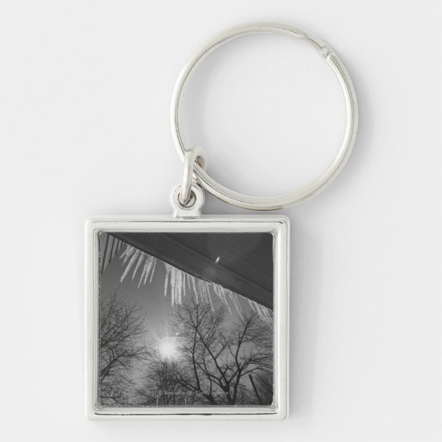 Icicles on roof and sun key ring (Front)