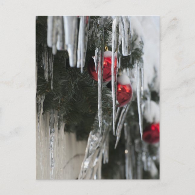 Icicles Postcard (Front)