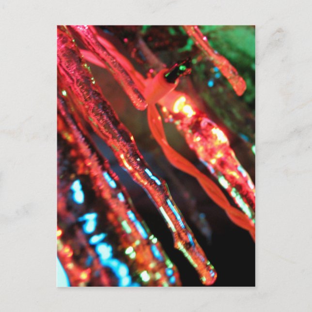 Icicles Postcard (Front)