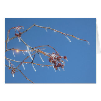 Icicles sparkle in sunlight against the blue sky