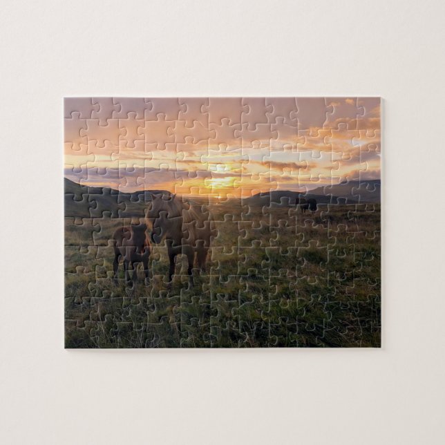 Icleandic horses puzzle (Horizontal)