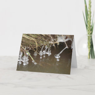 icles holiday card