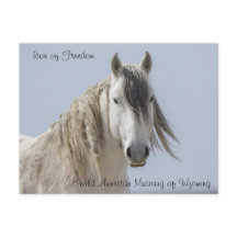 Icon of Freedom - Postcard