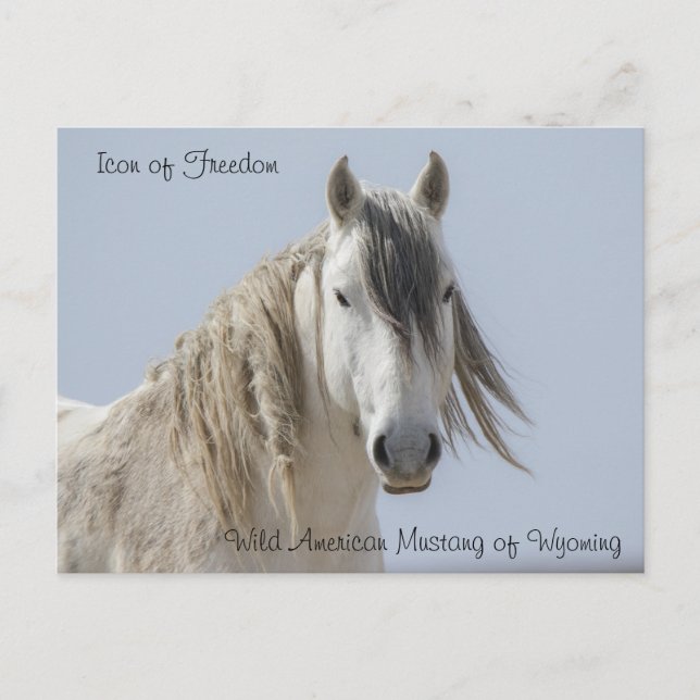 Icon of Freedom - Postcard (Front)