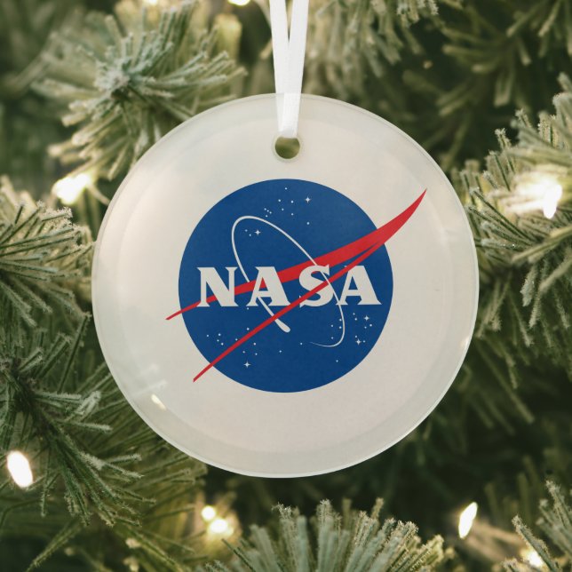 Iconic NASA Glass Holiday Ornament (Circle) (Insitu)