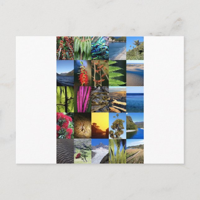 Iconic New Zealand Kiwiana nature scenes Postcard (Front)