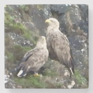 Iconic Scottish Highland White Tailed Eagle Pair  Stone Coaster