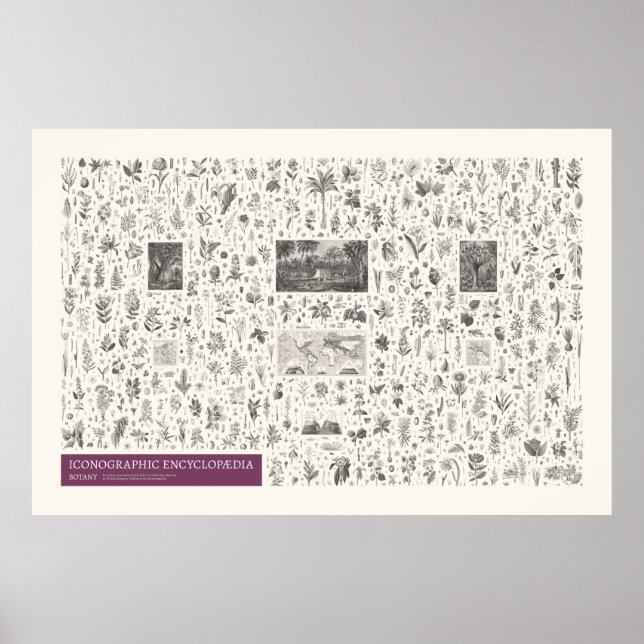 Iconography - Botany Poster (Front)