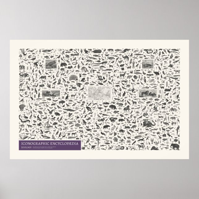 Iconography - Zoology Figures Poster (Front)