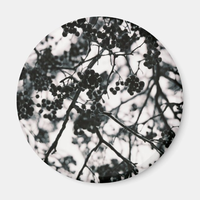 Icy Berries Magnet (Front)