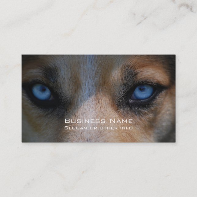 Icy Blue Canine Eyes Business Card (Front)