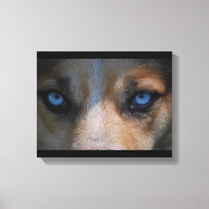 Icy Blue Canine Eyes Canvas Print