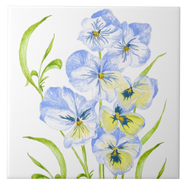 Icy Blue Pansies on a Ceramic Tile (Front)