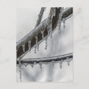 Icy Branch Postcard
