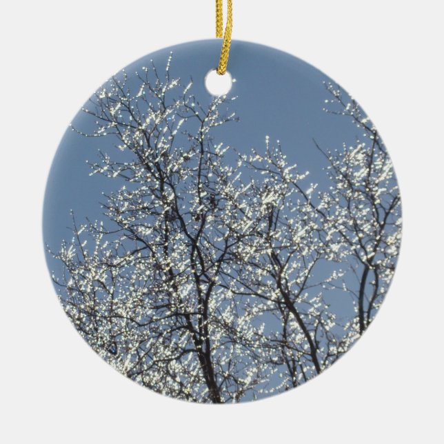 Icy Branches in Winter Blue Sky Ceramic Tree Decoration (Front)