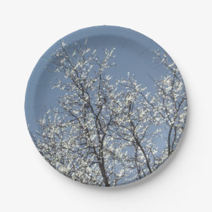 Icy Branches in Winter Blue Sky Paper Plate