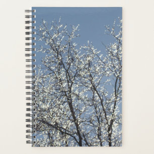 Icy Branches in Winter Blue Sky Planner