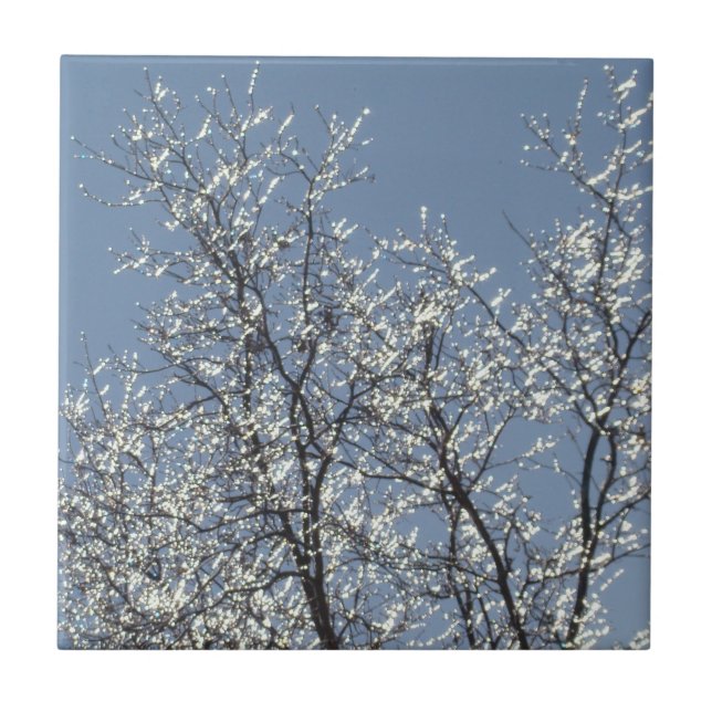 Icy Branches in Winter Blue Sky Tile (Front)