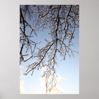 Icy Branches Poster
