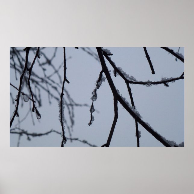 Icy Branches Winter Nature Photography Poster (Front)