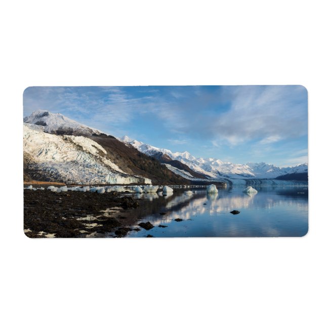 Icy College Fjord (Front)