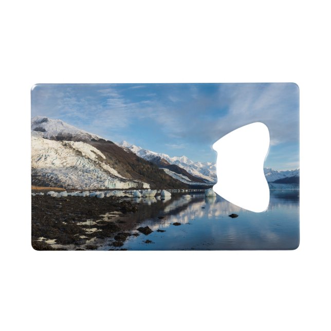 Icy College Fjord (Back Horizontal)