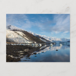 Icy College Fjord Postcard