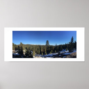 Icy Forest Panoramic Colour Photography Poster