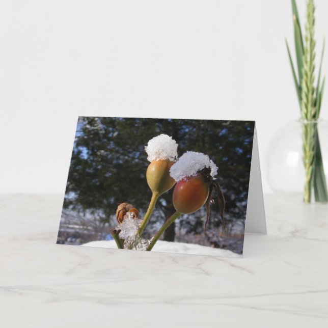 Icy Rose Hips ~ card (Front)