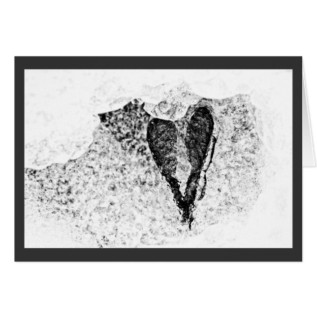 icy seeds in love (Front Horizontal)