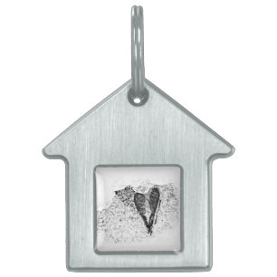 icy seeds in love pet name tag