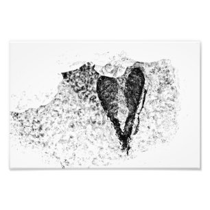 icy seeds in love photo print