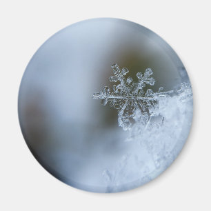 Icy Snowflake Magnet