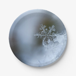 Icy Snowflake Paper Plate