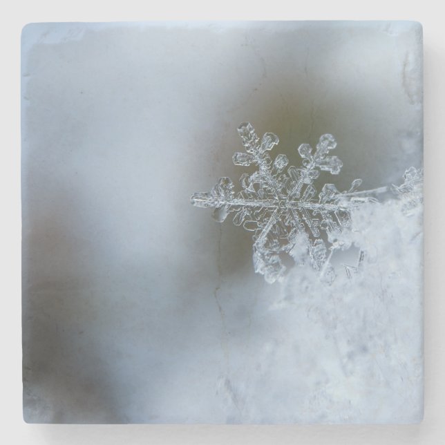 Icy Snowflake Stone Coaster (Front)