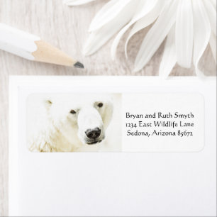 Icy Stare of a Polar Bear