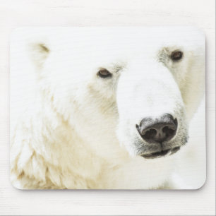 Icy stare of a polar bear mouse mat