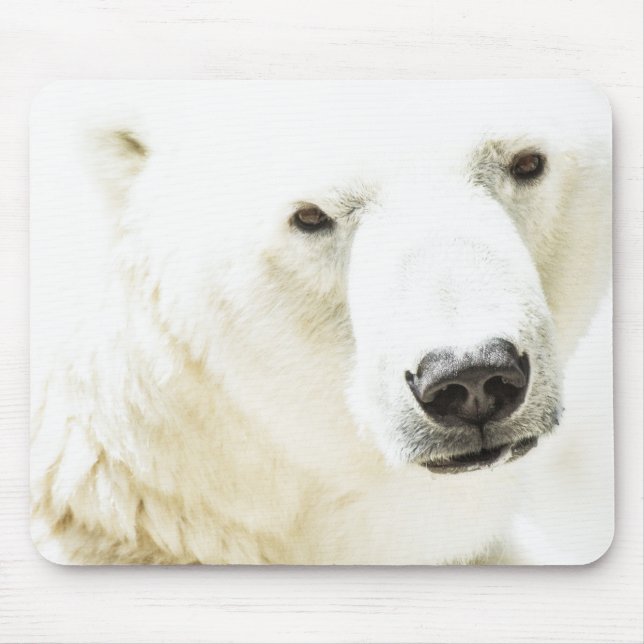 Icy stare of a polar bear mouse mat (Front)