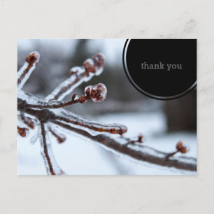 Icy Tree Branch Thank You Postcard