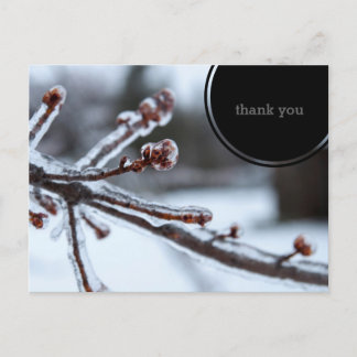 Icy Tree Branch Thank You Postcard
