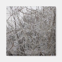 Icy Twigs