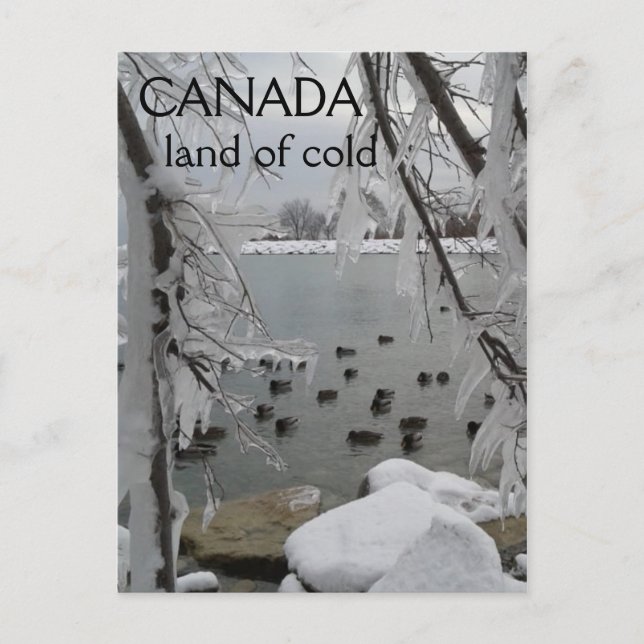 Icy Winter Canada Land of Cold Postcard (Front)