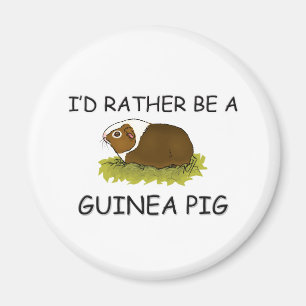 I'd Rather Be A Guinea Pig Magnet