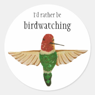I'd Rather Be Birdwatching Cute Anna's Hummingbird Classic Round Sticker