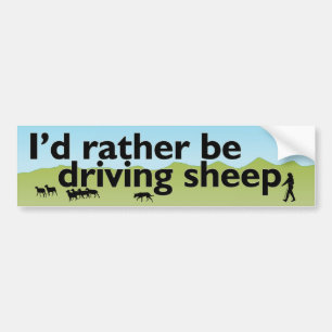 I'd Rather Be Driving Sheep Bumper Sticker
