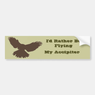 I'd Rather be Flying Bumper Sticker
