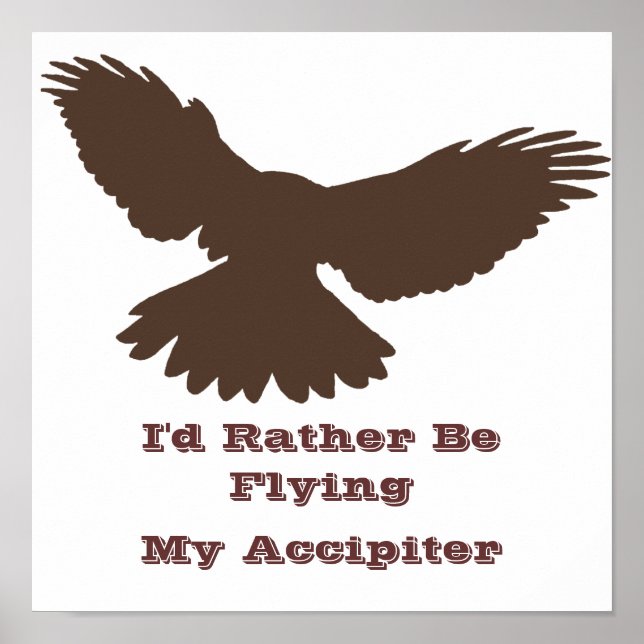 I'd Rather be Flying Poster (Front)