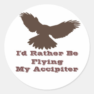I'd Rather be Flying stickers