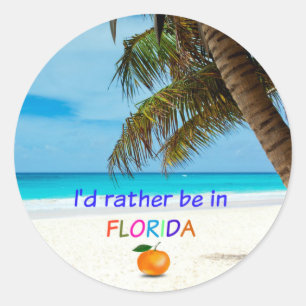 I'd Rather Be in Florida, palm trees and oranges Classic Round Sticker