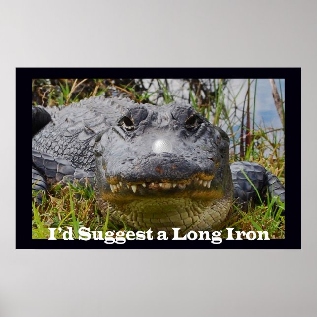 I'd Suggest a Long Iron Poster (Front)